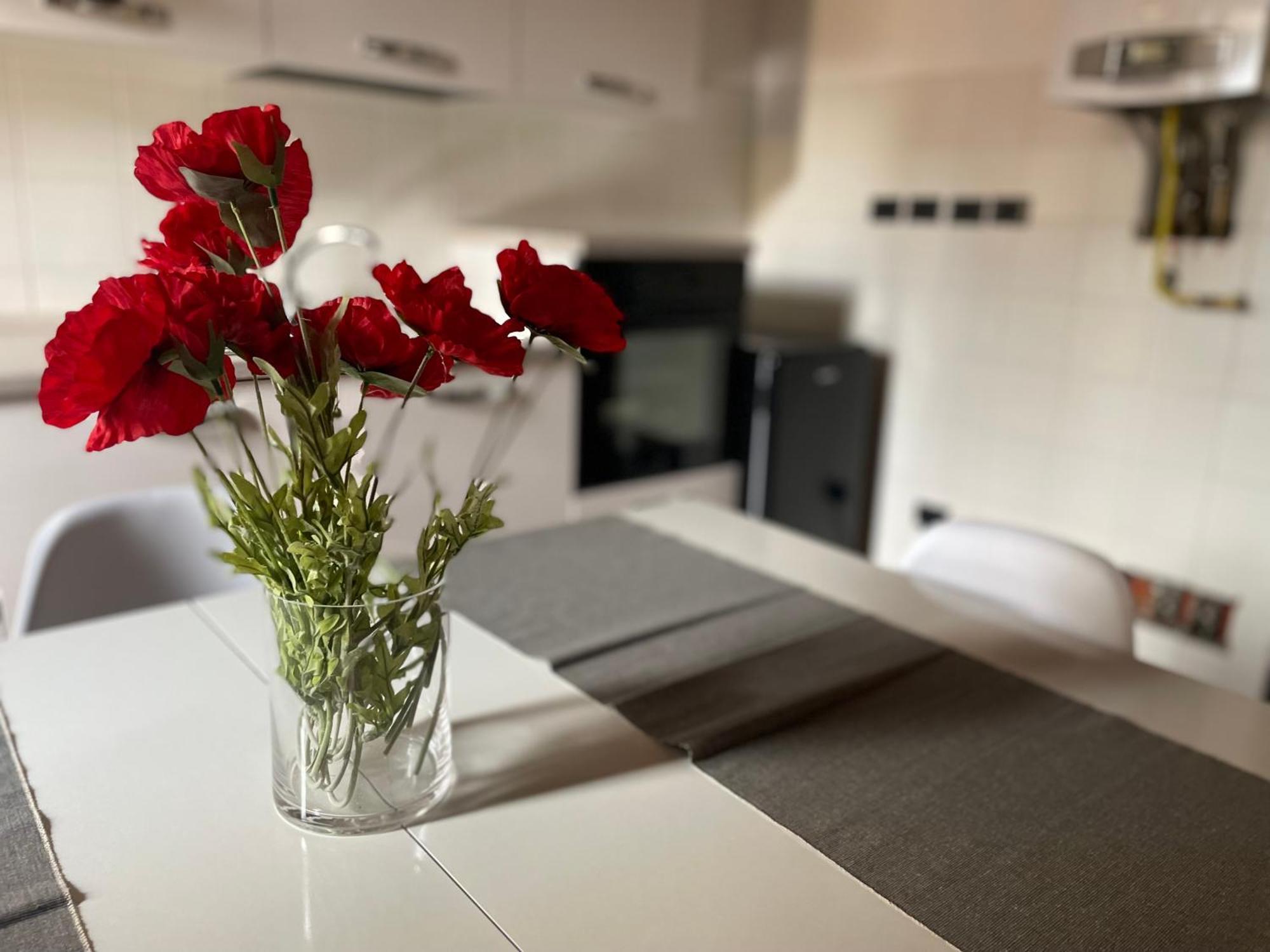 Scaligeri House Apartment Verona Ngoại thất bức ảnh